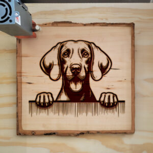 587607_wood-laser-1.jpg