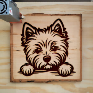 587611_wood-laser-1.jpg
