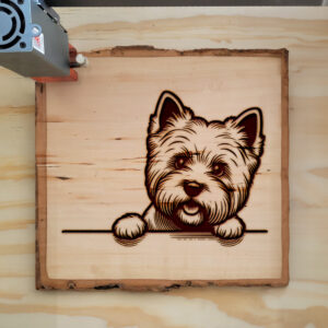 587630_wood-laser-1.jpg