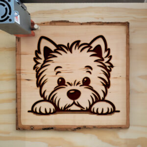 587637_wood-laser-1.jpg