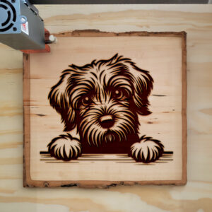 587654_wood-laser-1.jpg