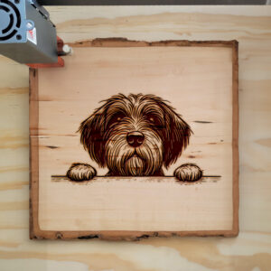 587666_wood-laser-1.jpg