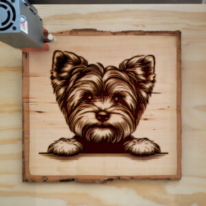 587672_wood-laser-1.jpg