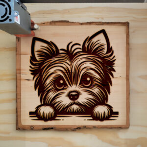 587674_wood-laser-1.jpg