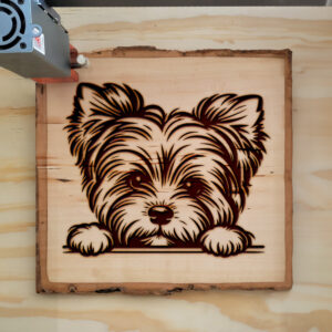 587688_wood-laser-1.jpg