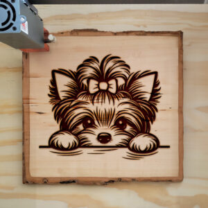587690_wood-laser-1.jpg