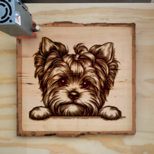 587697_wood-laser-1.jpg