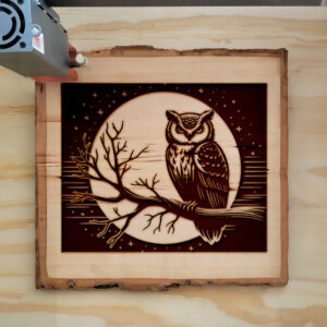 593794_wood-laser-1.jpg