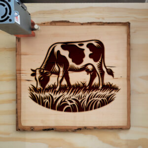 593796_wood-laser-1.jpg