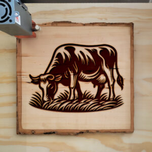 593813_wood-laser-1.jpg