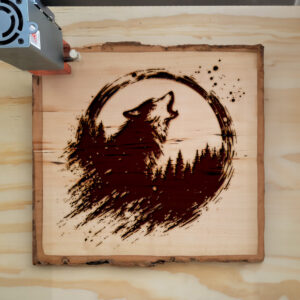 593838_wood-laser-1.jpg
