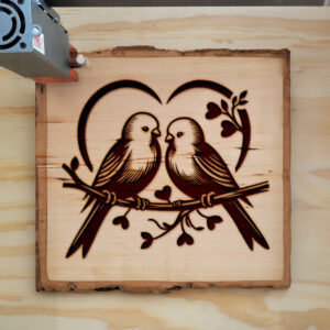 593851_wood-laser-1.jpg