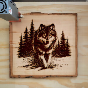 593896_wood-laser-1.jpg