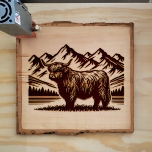 593975_wood-laser-1.jpg