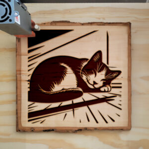 594055_wood-laser-1.jpg