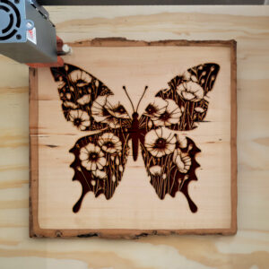 594236_wood-laser-1.jpg