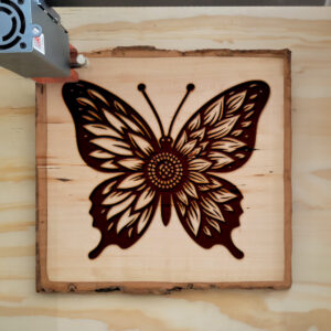 594324_wood-laser-1.jpg
