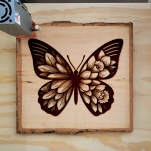 594329_wood-laser-1.jpg