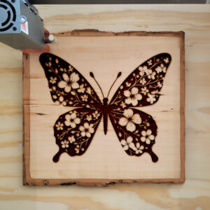 594333_wood-laser-1.jpg