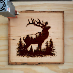 Mockup Image