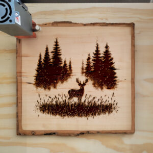 Mockup Image