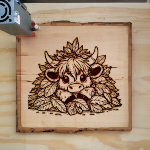 Mockup Image