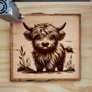 Mockup Image