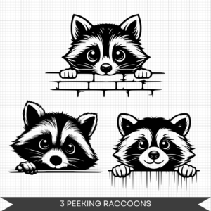 Raccoons Bundle – Playful Raccoons (1)