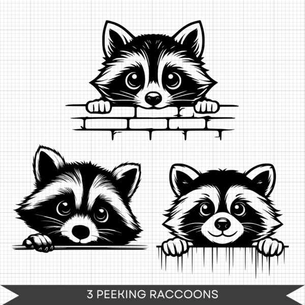 Raccoons Bundle – Playful Raccoons (1)
