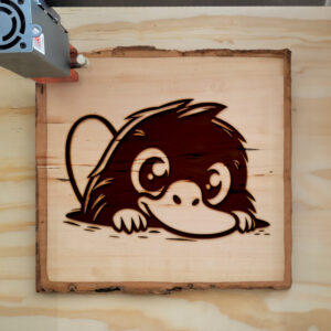 Mockup Image