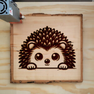 Mockup Image