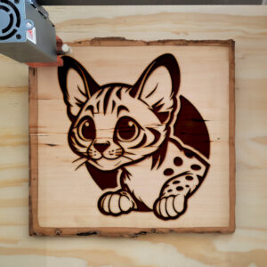 Mockup Image