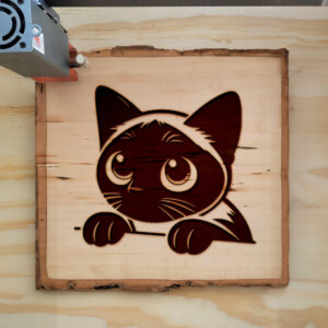 Mockup Image