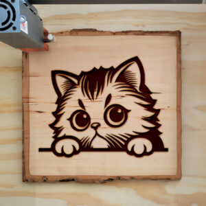 Mockup Image