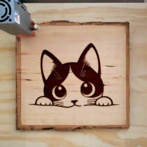 Mockup Image