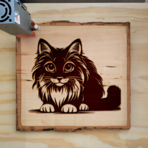 Mockup Image