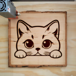 Mockup Image