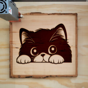 Mockup Image