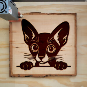 Mockup Image