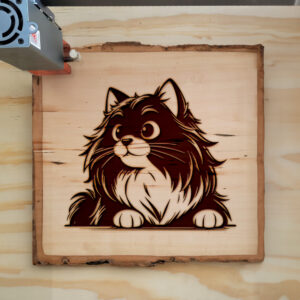 Mockup Image