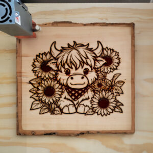 Mockup Image