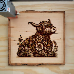 Mockup Image