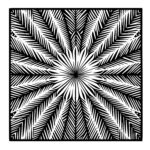 Feathered Starburst Mandala