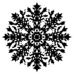 Floral Snowflake Dance