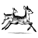 Spotted Deer Chase