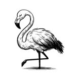 Lone Flamingo Balance