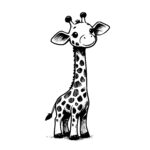 Tall Baby Giraffe