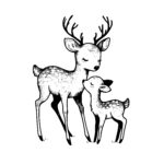 Tender Deer Touch