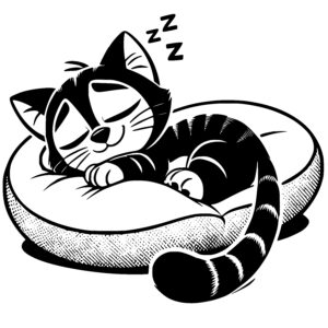 Cozy Cat Nap