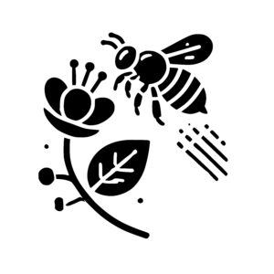Flight Path of a Bee